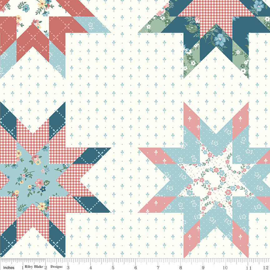 Mary Catherine Cheater Print