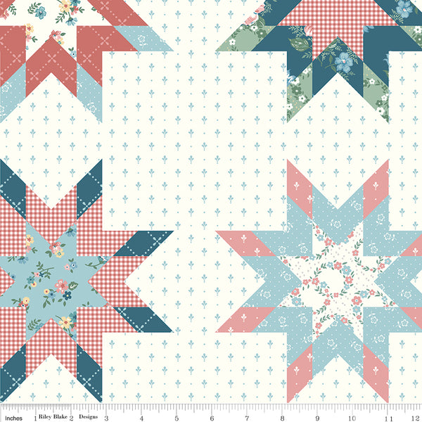 Mary Catherine Cheater Print